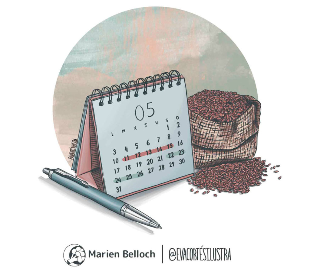 Diario Menstrual "Mujer Consciente"