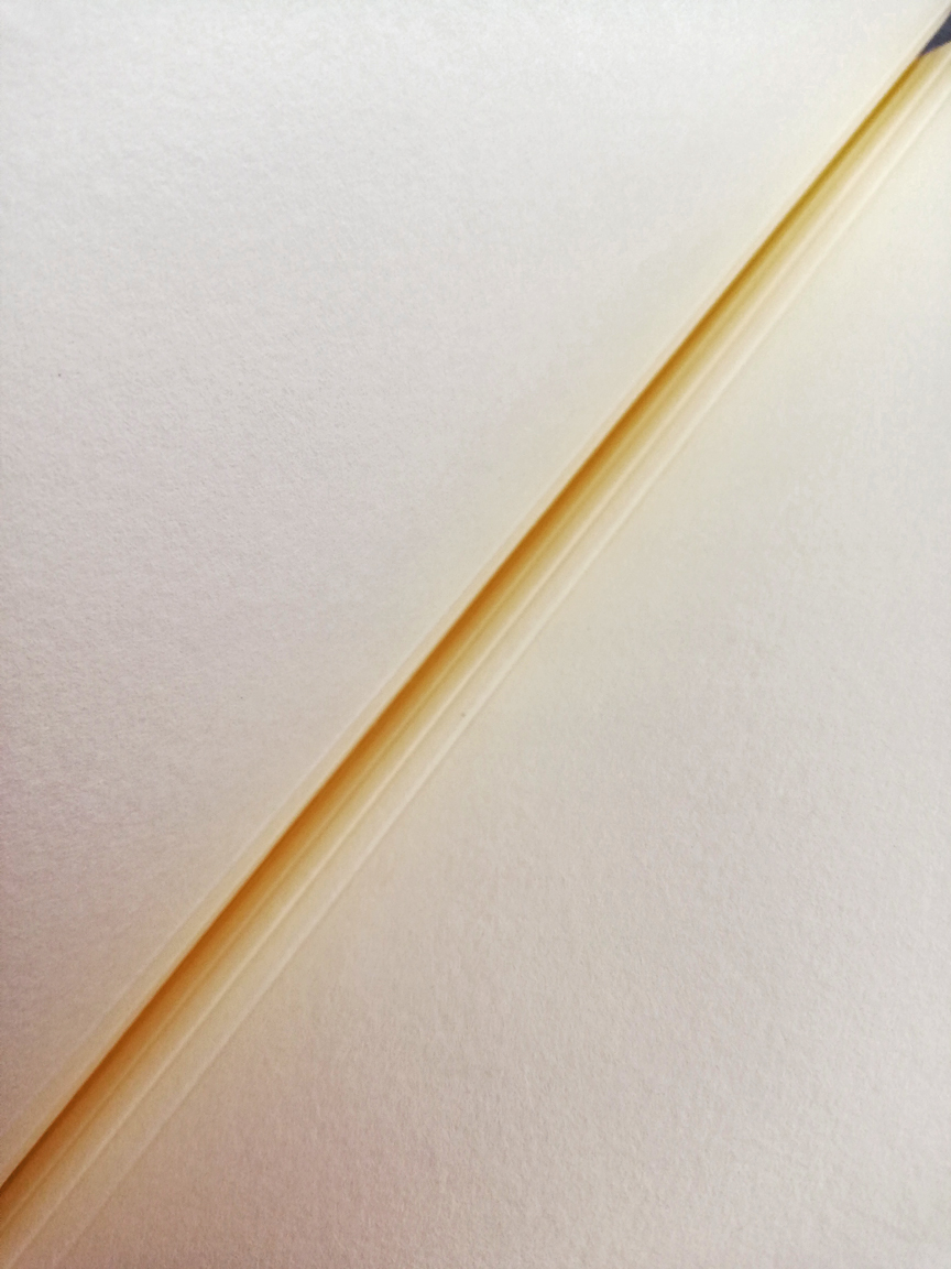 IMG_20221201_143934 enseña la textura y sistema de apertura del papel interno del albúm